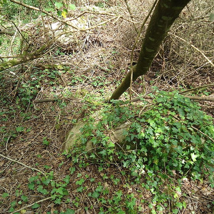 Photo de Alignements de Kerzérho à Erdeven