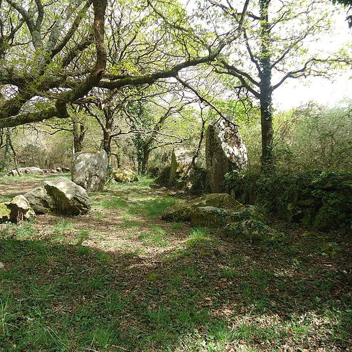 Photo de Alignements de Kerzérho à Erdeven