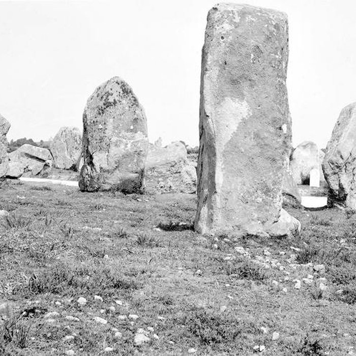 Photo de Alignements de Kerzérho à Erdeven