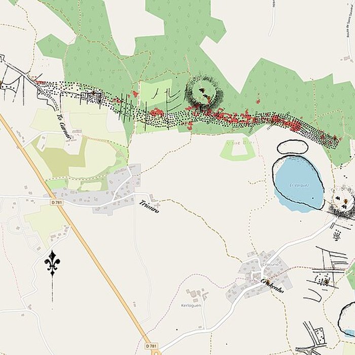 Photo de Alignements de Kerzérho à Erdeven