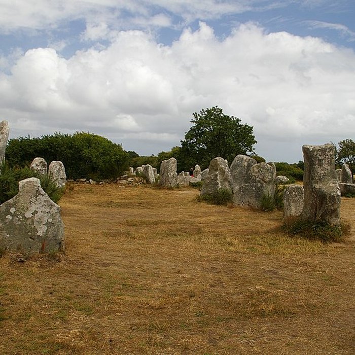 Photo de Alignements de Kerzérho à Erdeven
