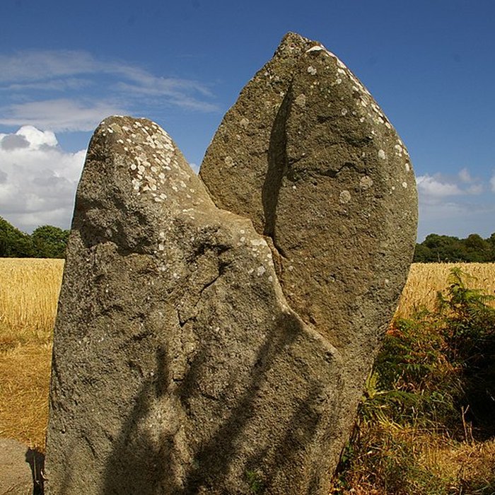 Photo de Alignements de Kerzérho à Erdeven