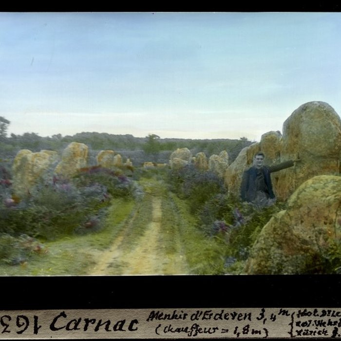 Photo de Alignements de Kerzérho à Erdeven