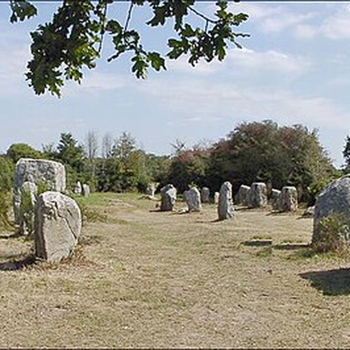 Photo de Alignements de Kerzérho à Erdeven
