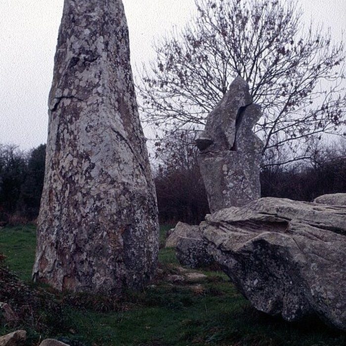 Photo de Alignements de Kerzérho à Erdeven