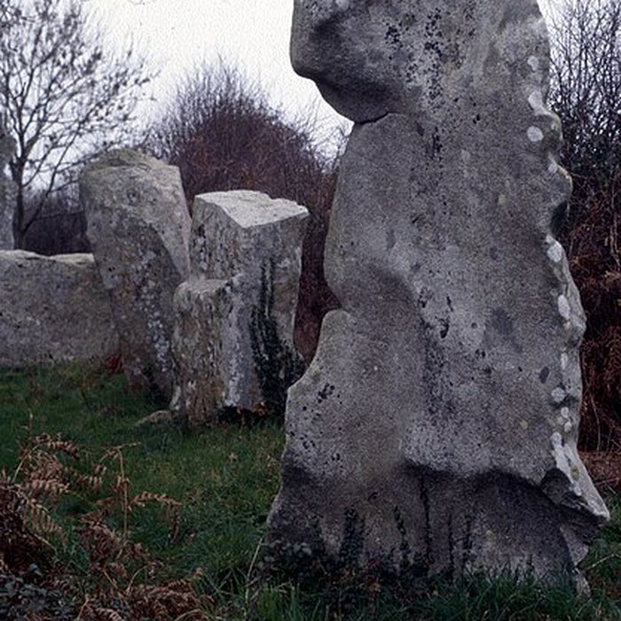Photo de Alignements de Kerzérho à Erdeven