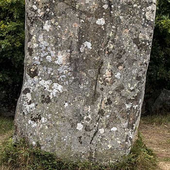Photo de Alignements de Kerzérho à Erdeven