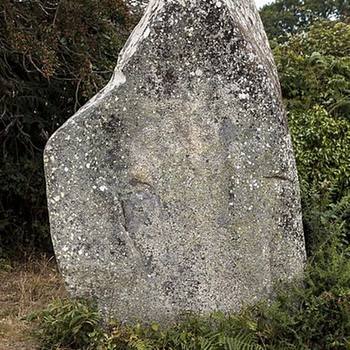 Photo de Alignements de Kerzérho à Erdeven