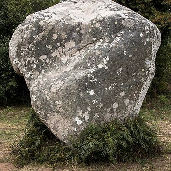 Photo de Alignements de Kerzérho à Erdeven