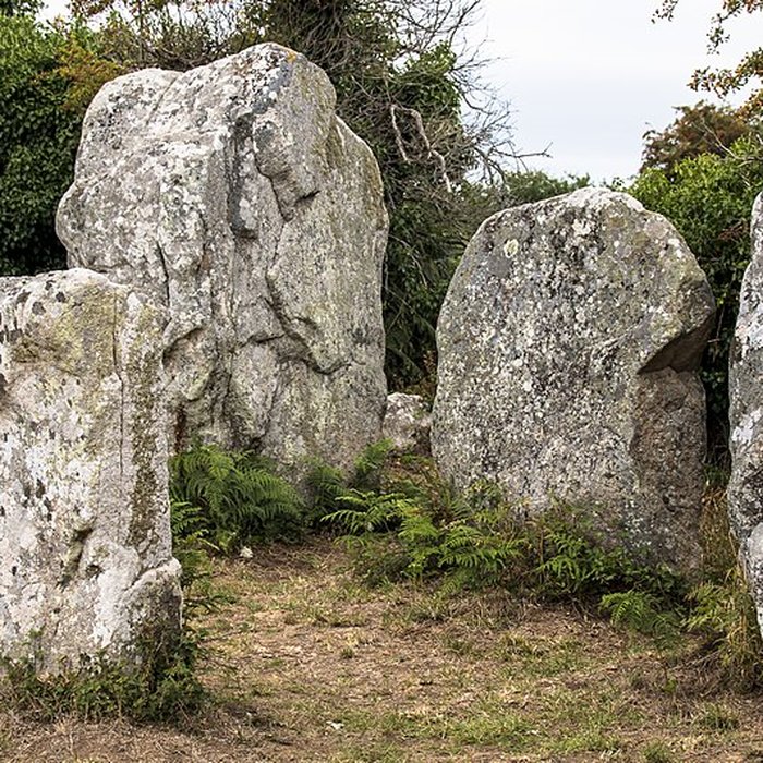 Photo de Alignements de Kerzérho à Erdeven