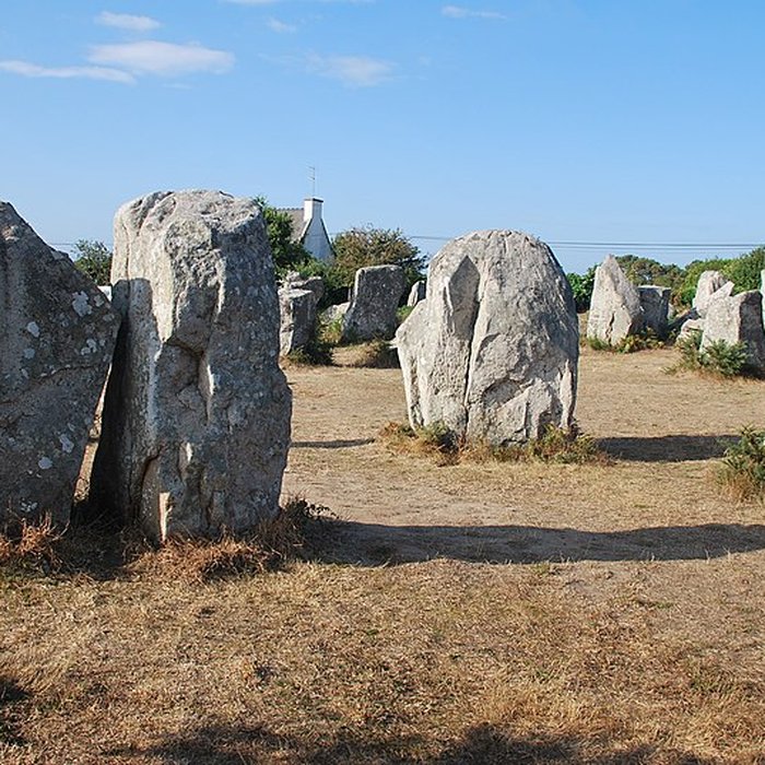 Photo de Alignements de Kerzérho à Erdeven