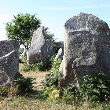 Alignements de Kerzérho à Erdeven