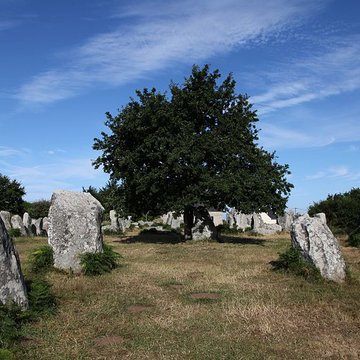 Alignements de Kerzérho à Erdeven