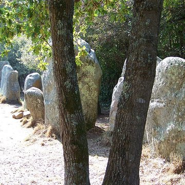 Alignements de Kerzérho à Erdeven