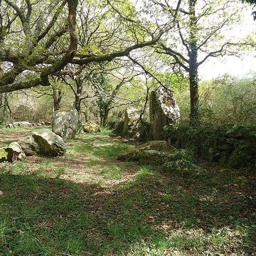 Alignements de Kerzérho à Erdeven