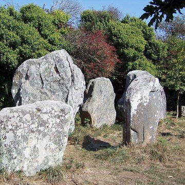 Alignements de Kerzérho à Erdeven