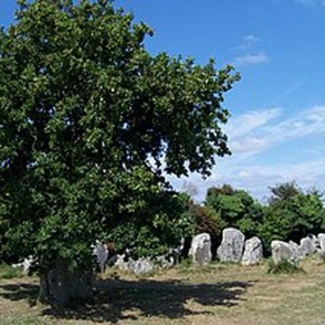 Alignements de Kerzérho à Erdeven