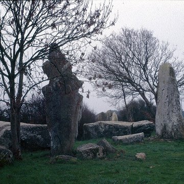 Alignements de Kerzérho à Erdeven