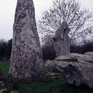 Alignements de Kerzérho à Erdeven