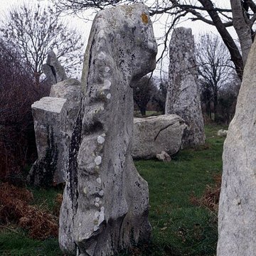 Alignements de Kerzérho à Erdeven