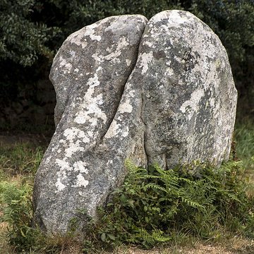 Alignements de Kerzérho à Erdeven