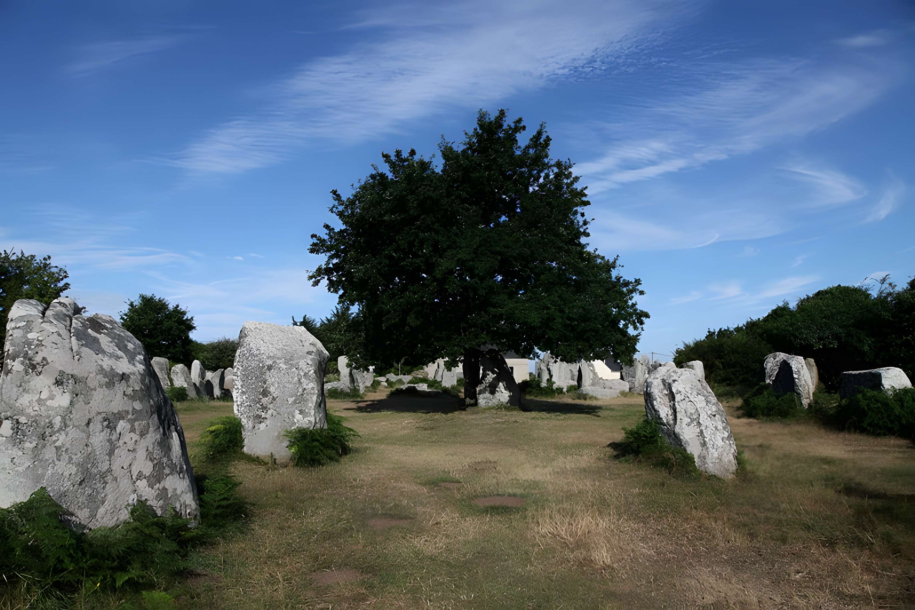 Alignements de Kerzérho à Erdeven