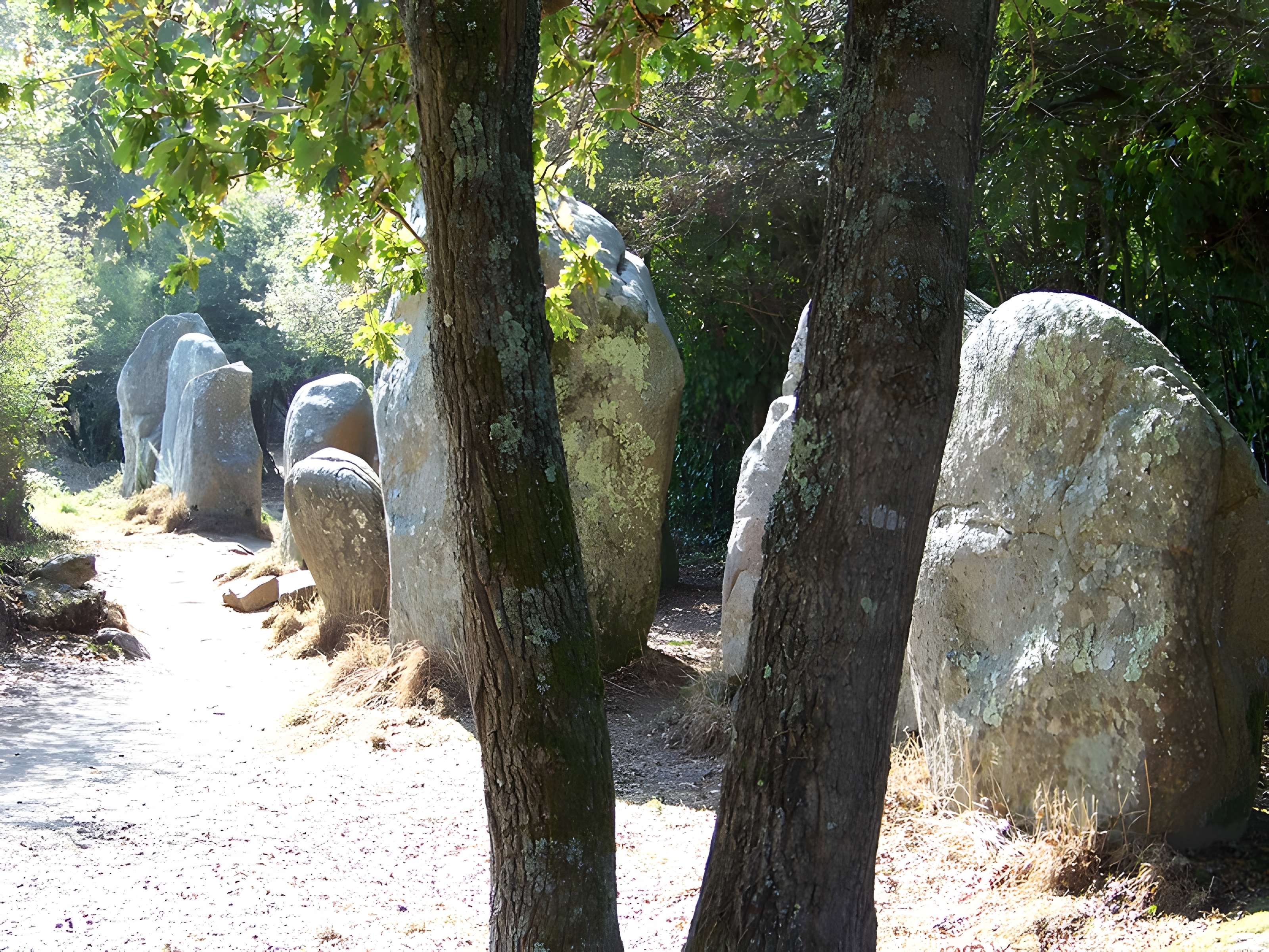 Alignements de Kerzérho à Erdeven