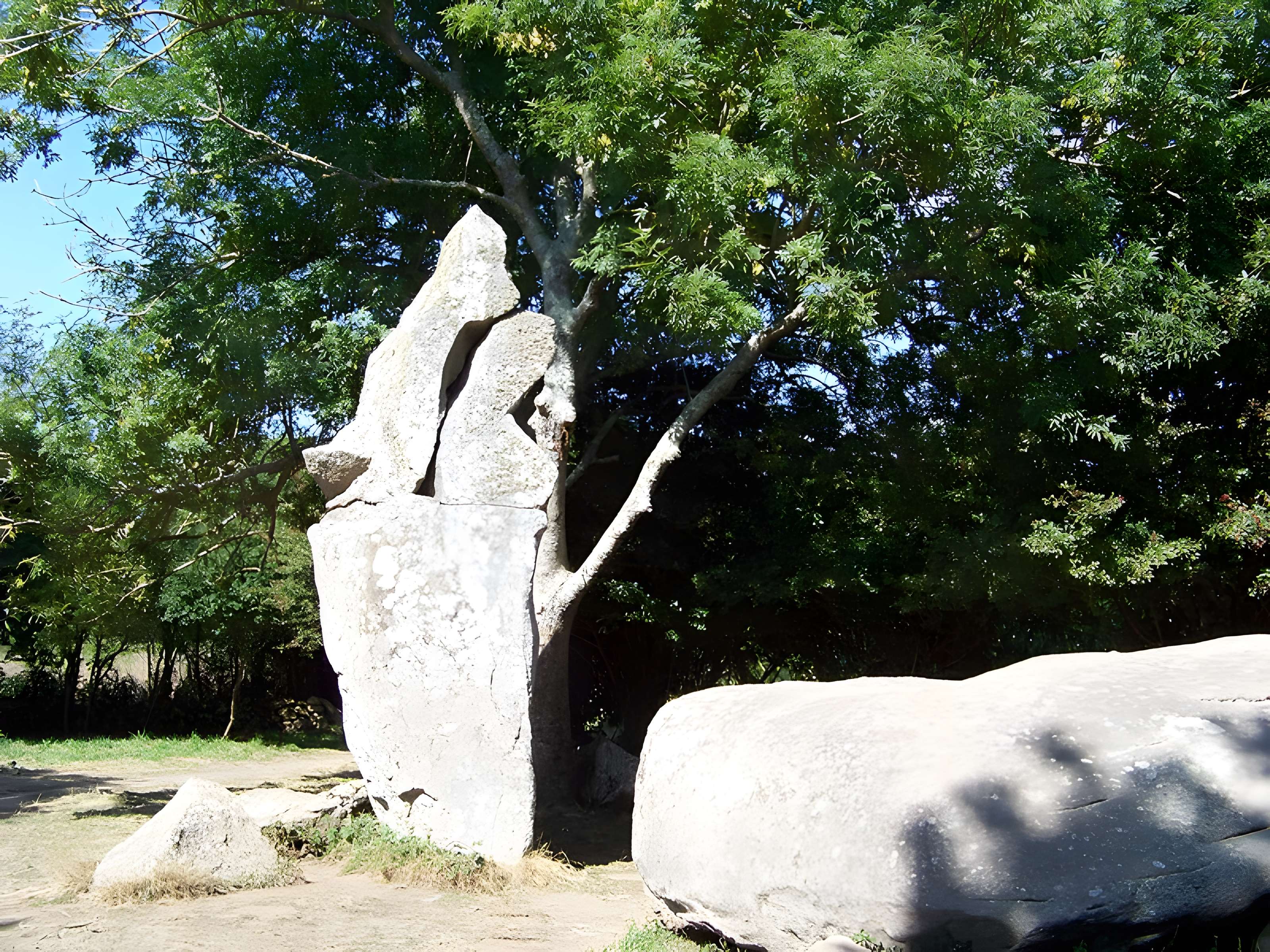 Alignements de Kerzérho à Erdeven