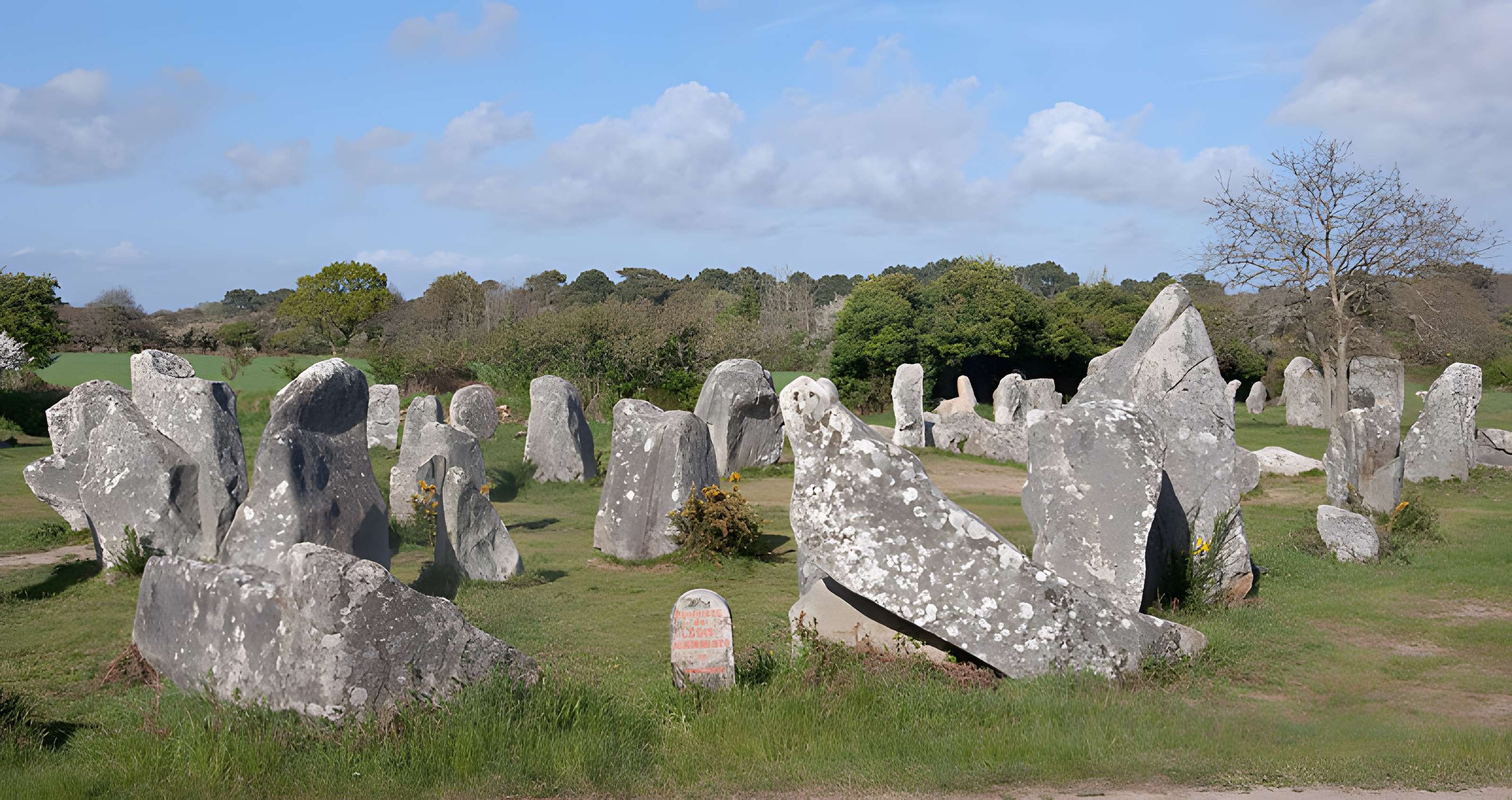 Alignements de Kerzérho à Erdeven