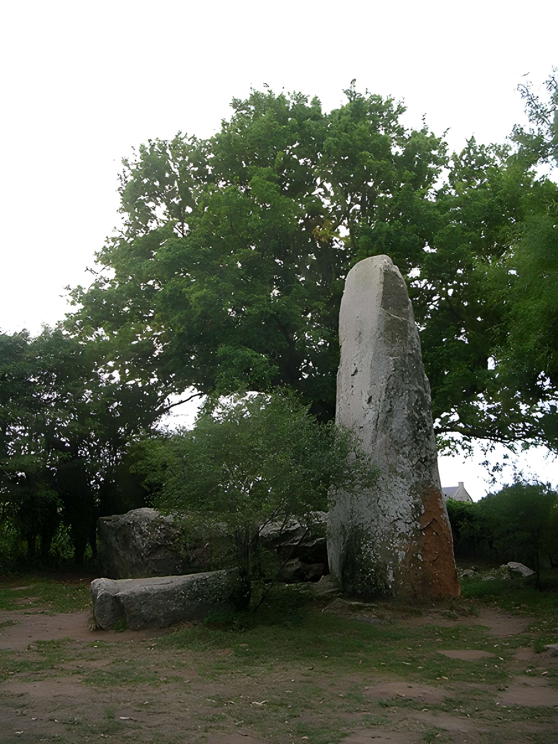 Alignements de Kerzérho à Erdeven