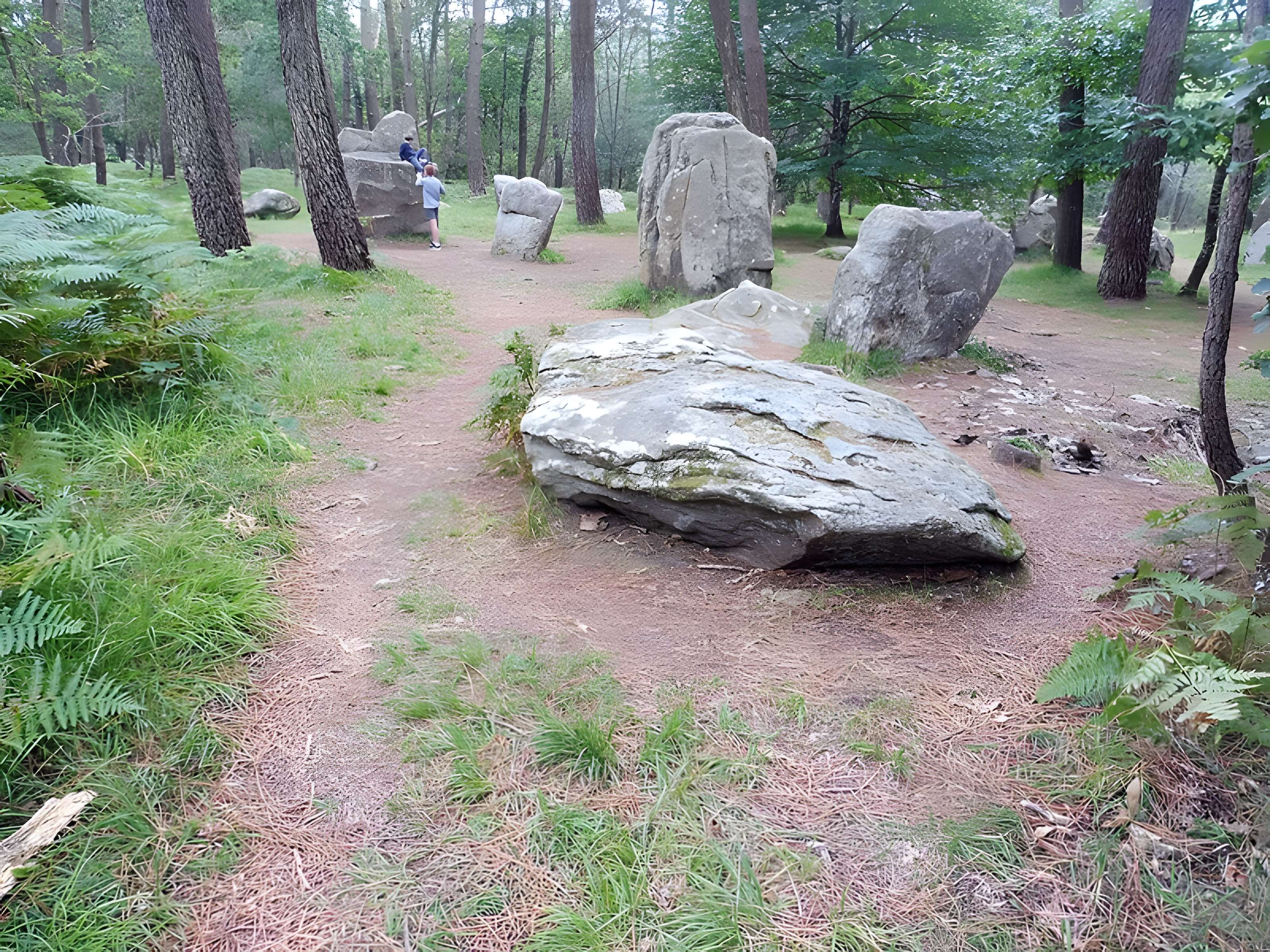 Alignements de Kerzérho à Erdeven