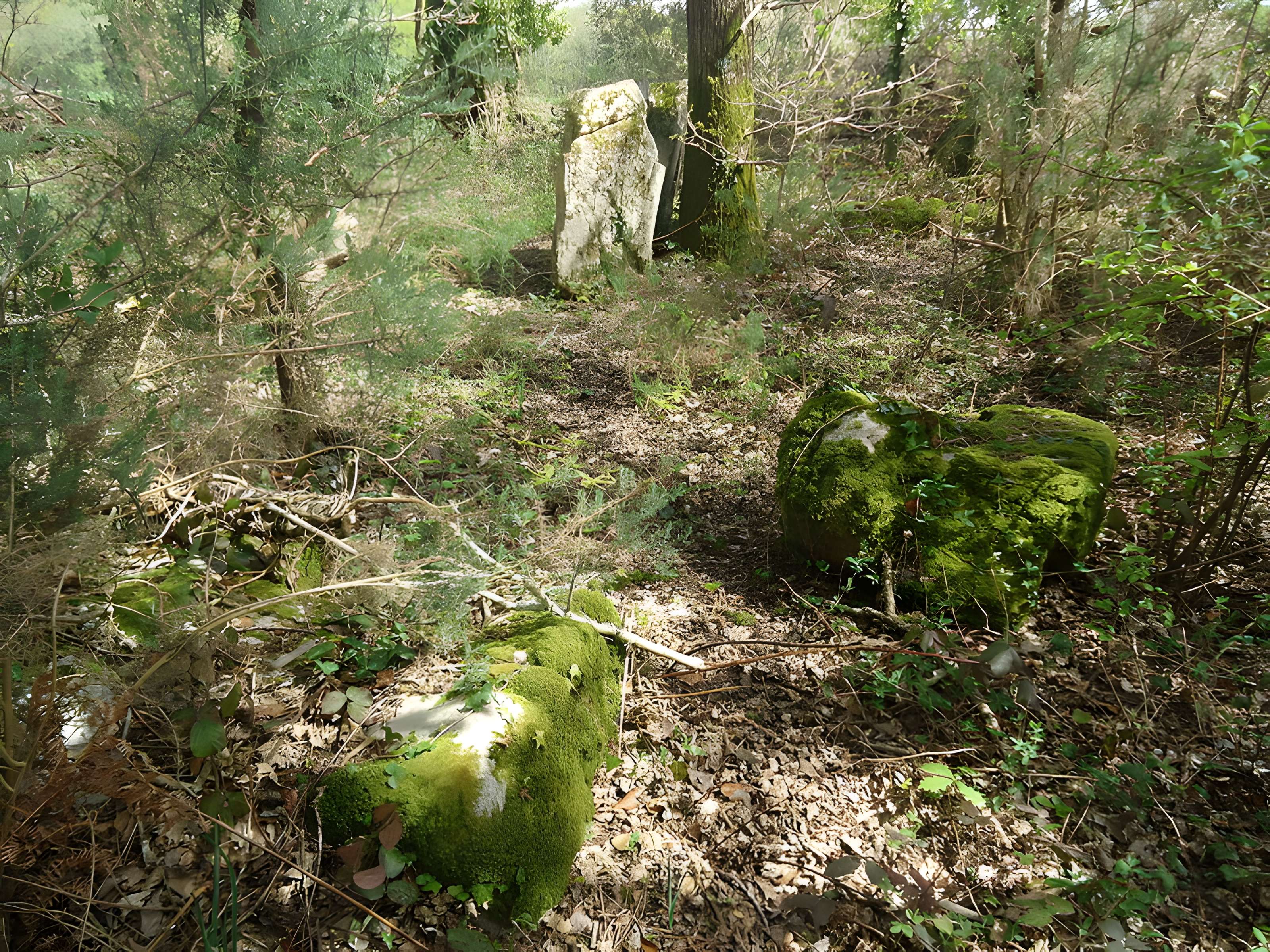 Alignements de Kerzérho à Erdeven