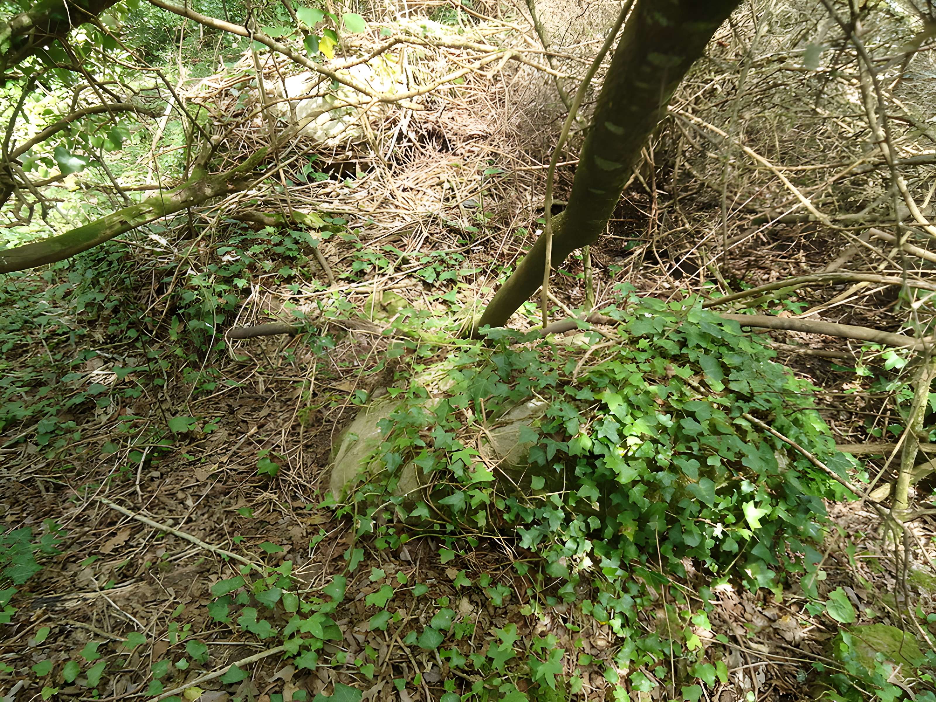 Alignements de Kerzérho à Erdeven