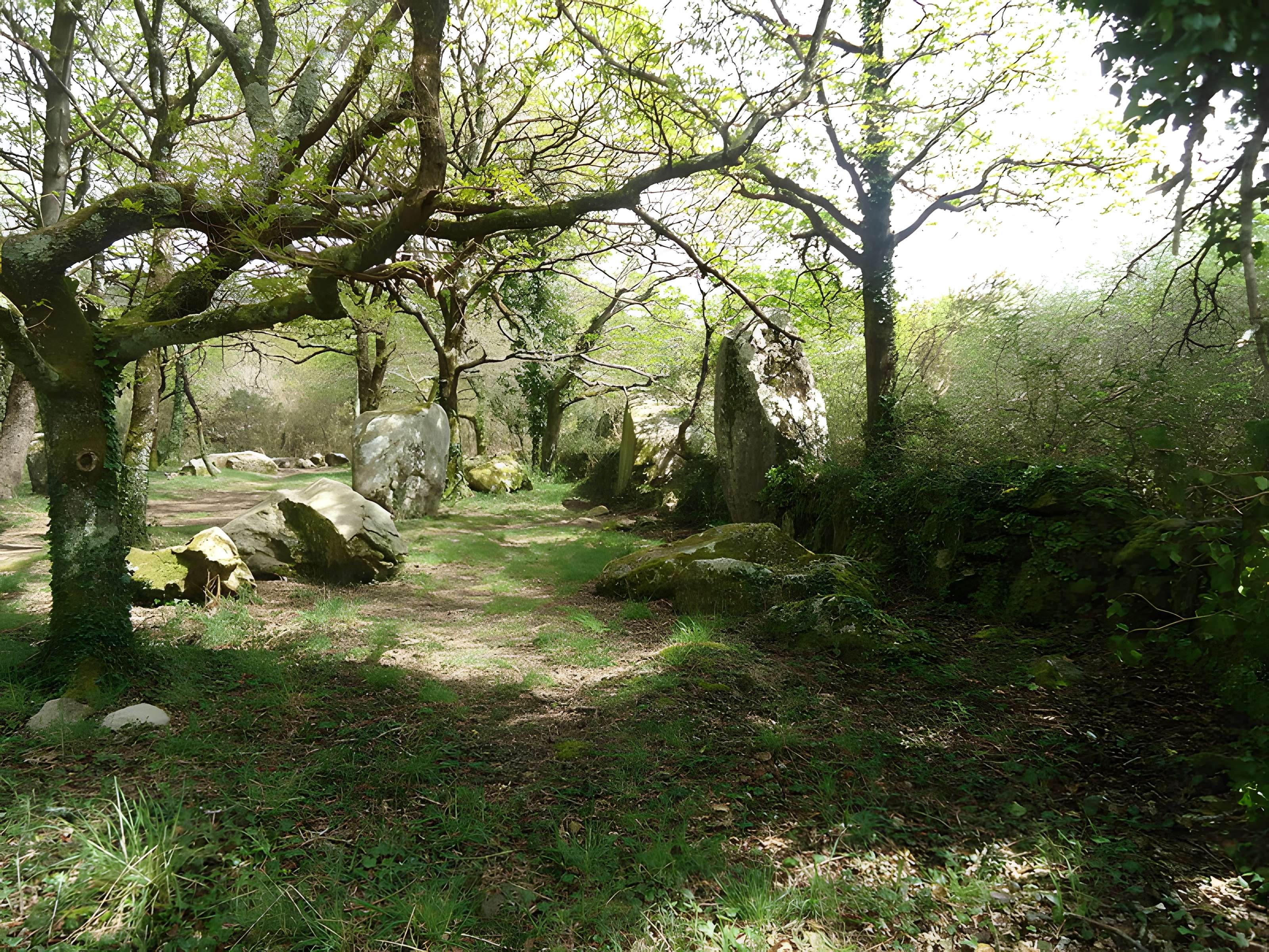 Alignements de Kerzérho à Erdeven