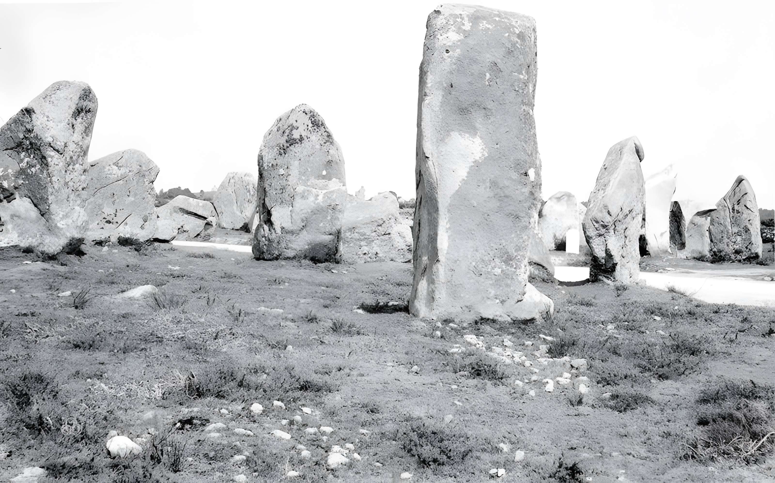 Alignements de Kerzérho à Erdeven