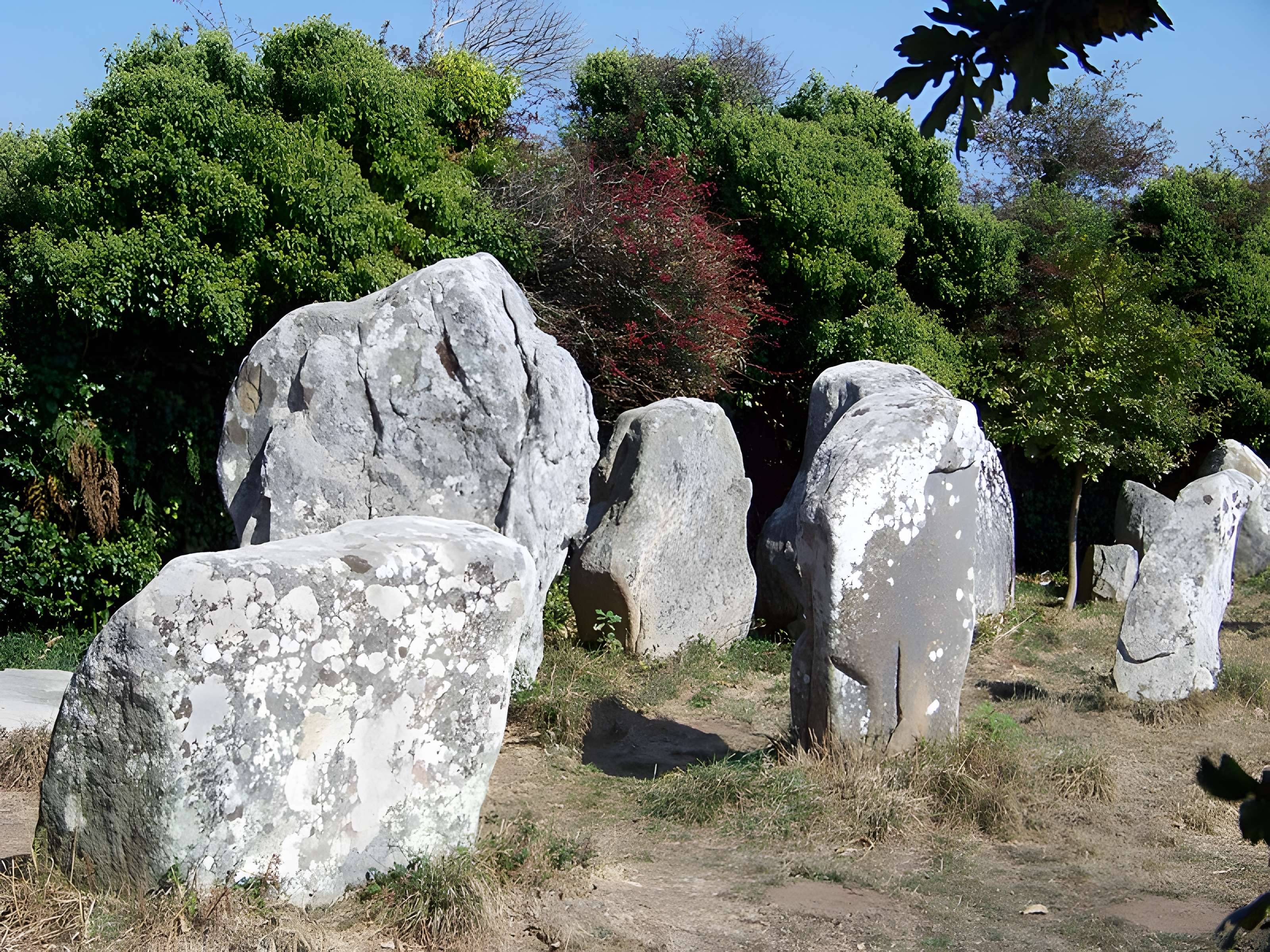 Alignements de Kerzérho à Erdeven