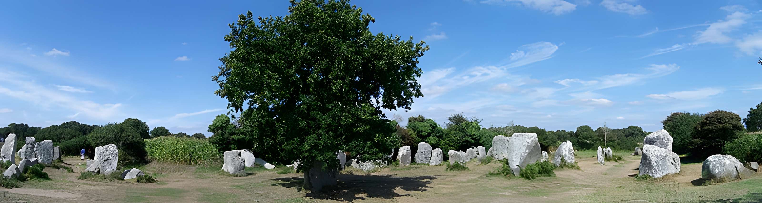 Alignements de Kerzérho à Erdeven