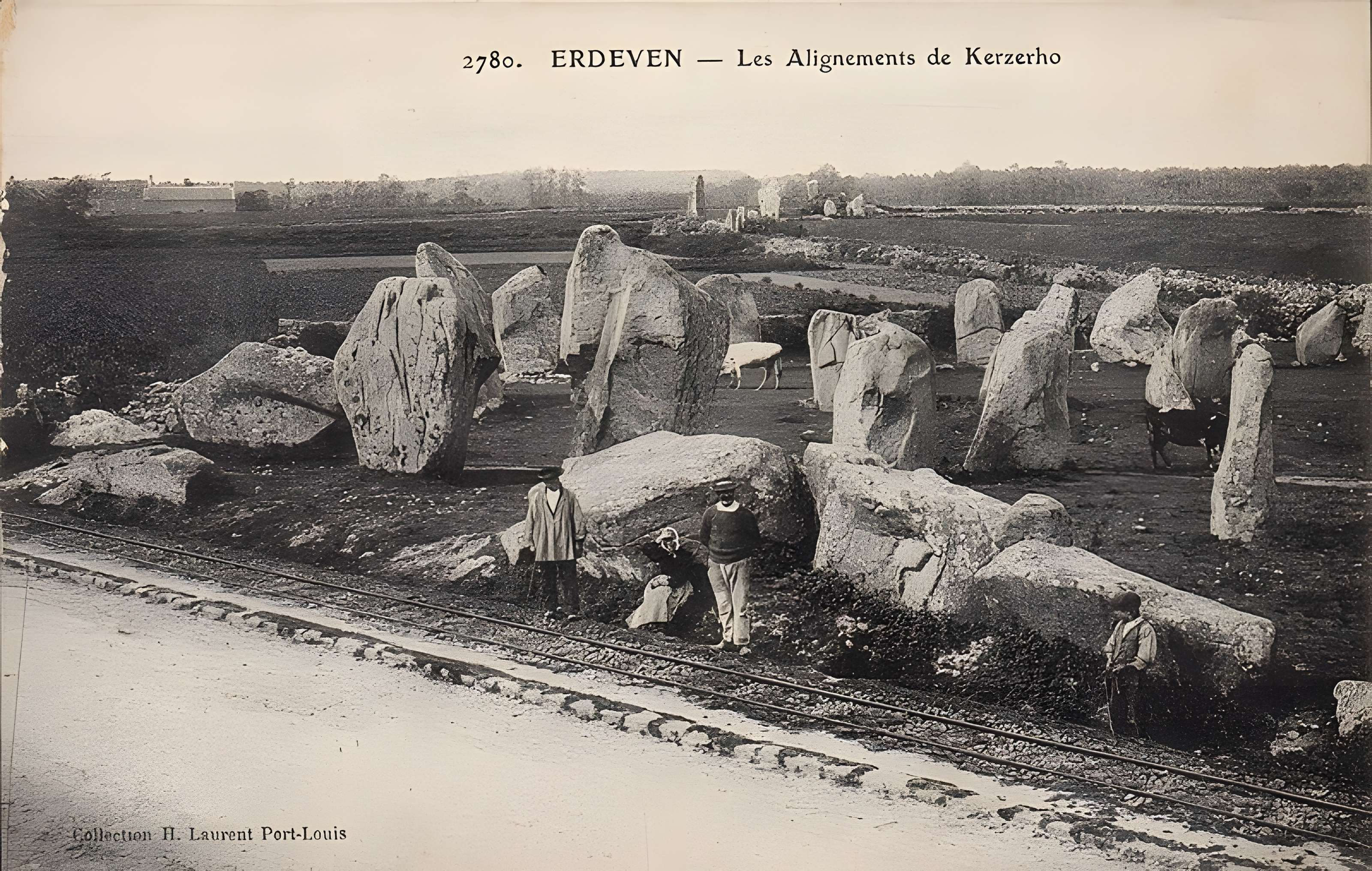 Alignements de Kerzérho à Erdeven