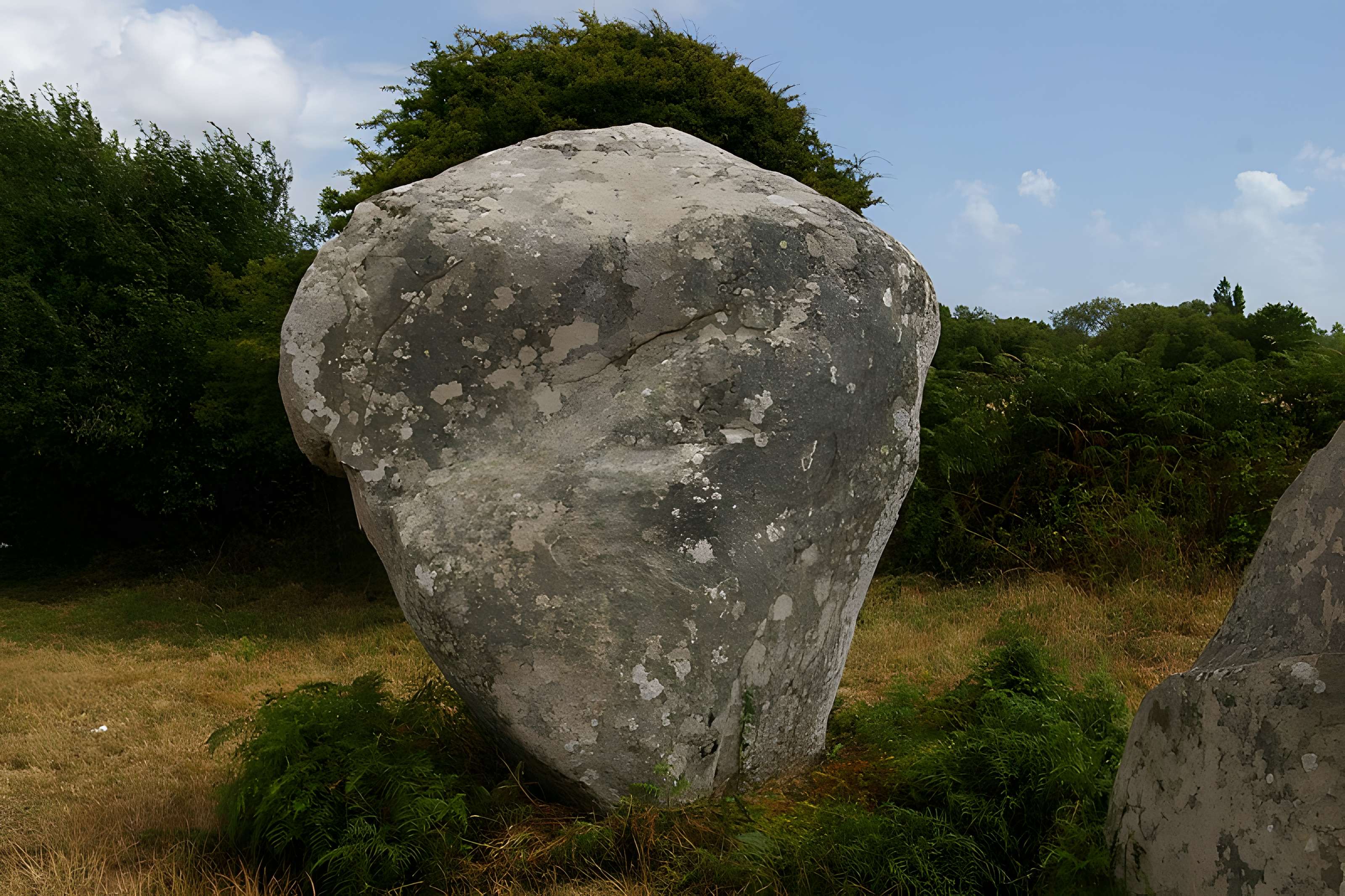 Alignements de Kerzérho à Erdeven