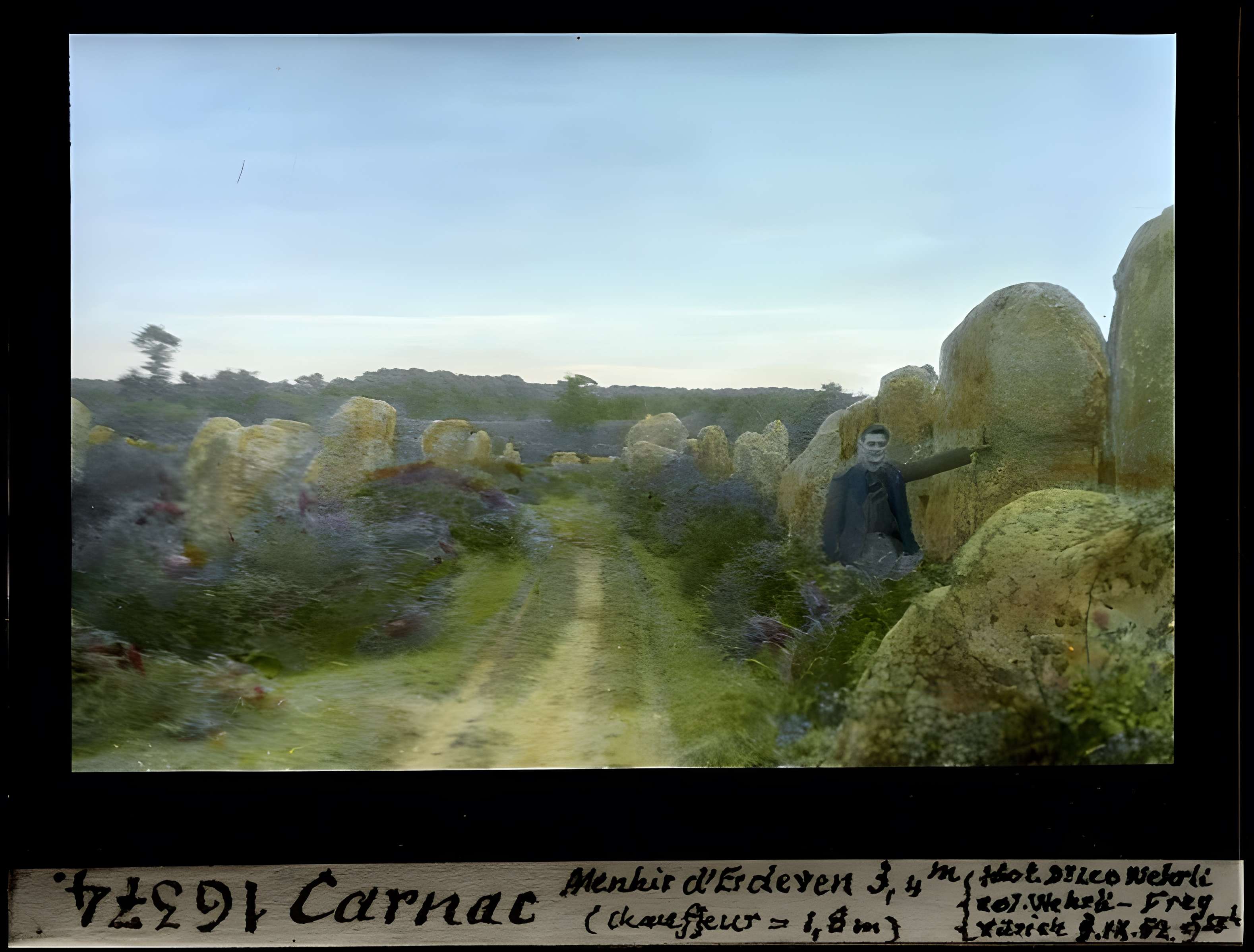 Alignements de Kerzérho à Erdeven