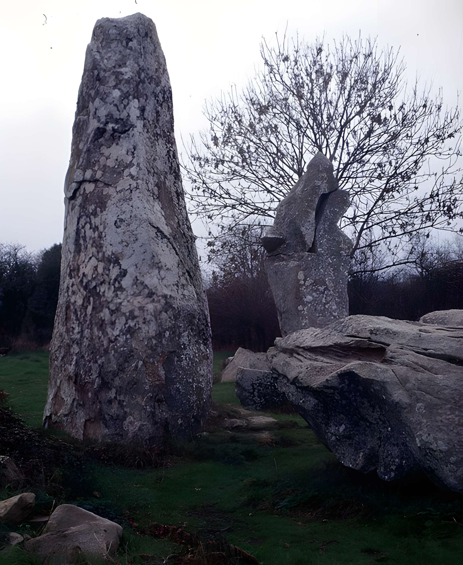 Alignements de Kerzérho à Erdeven