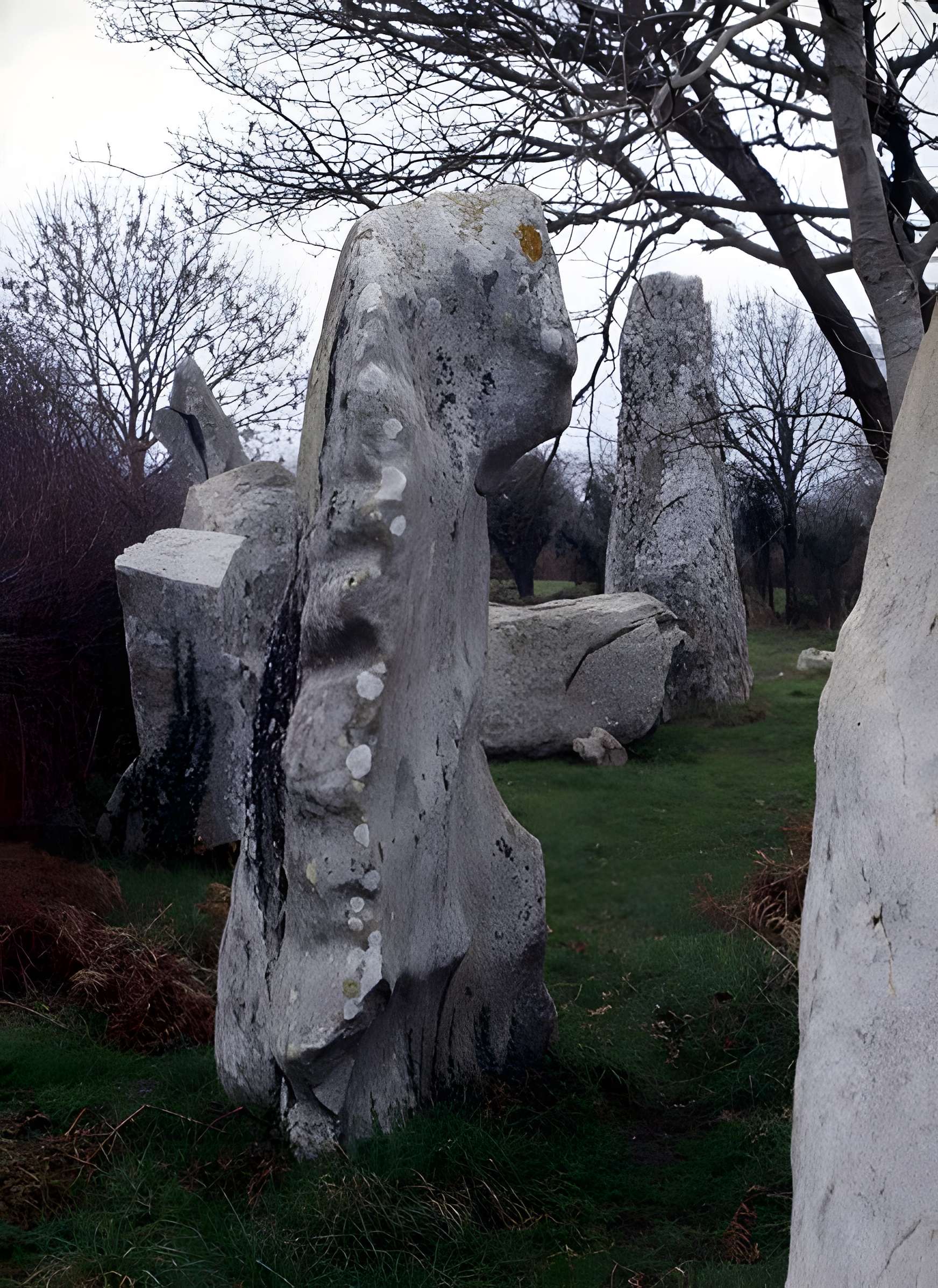 Alignements de Kerzérho à Erdeven