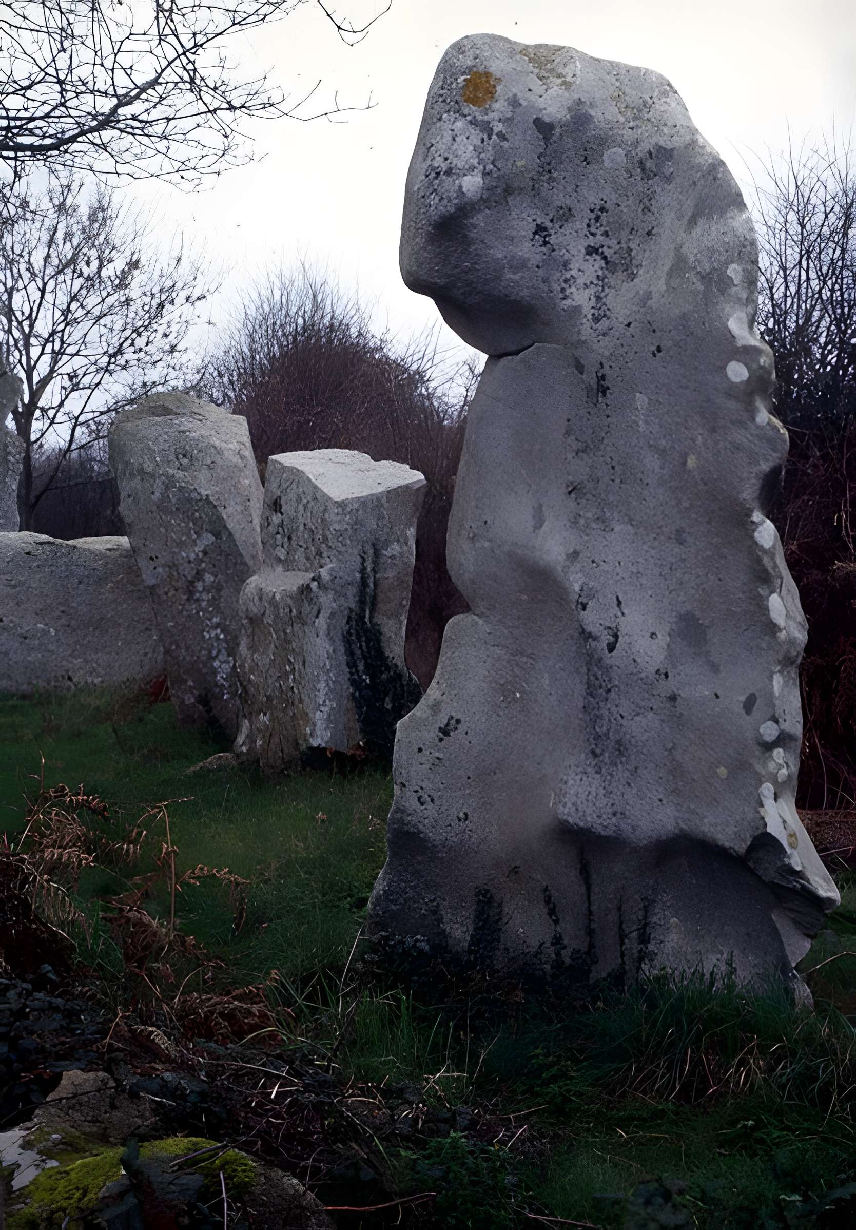 Alignements de Kerzérho à Erdeven