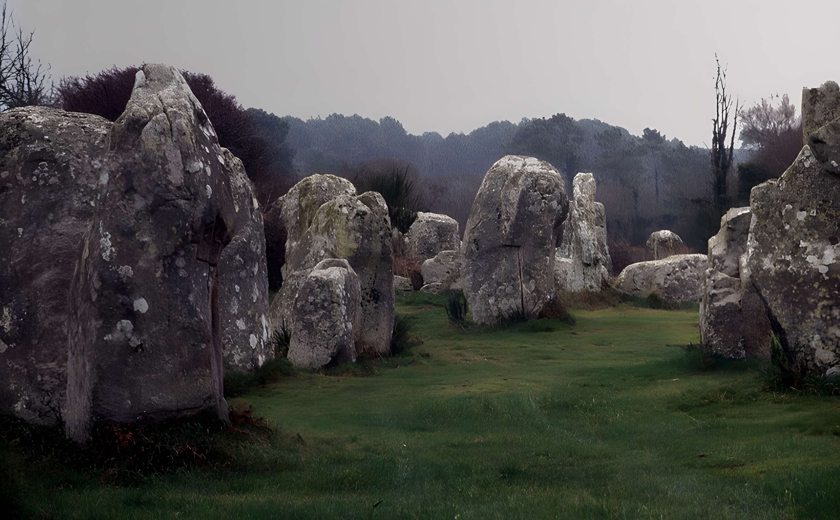 Alignements de Kerzérho à Erdeven