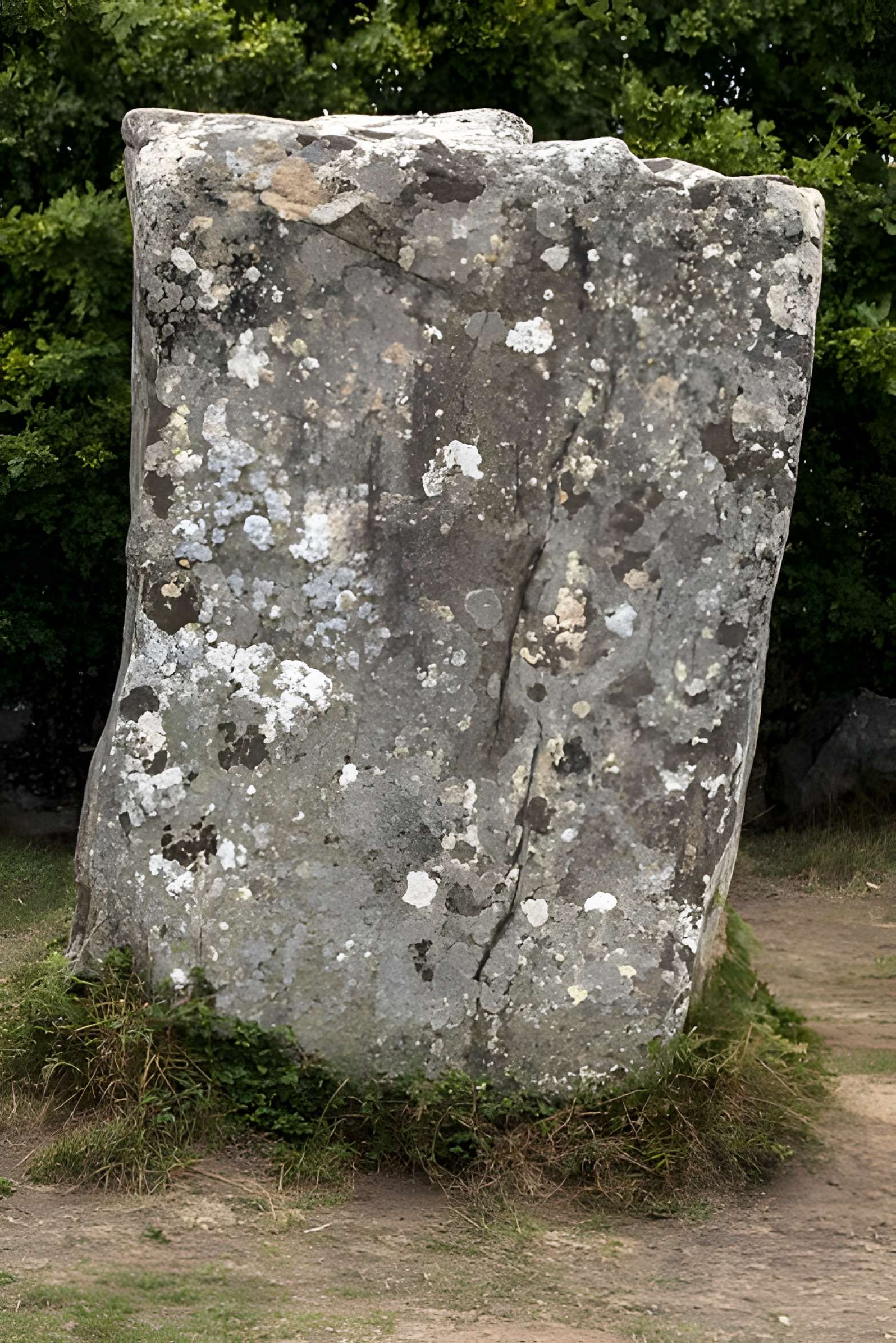 Alignements de Kerzérho à Erdeven