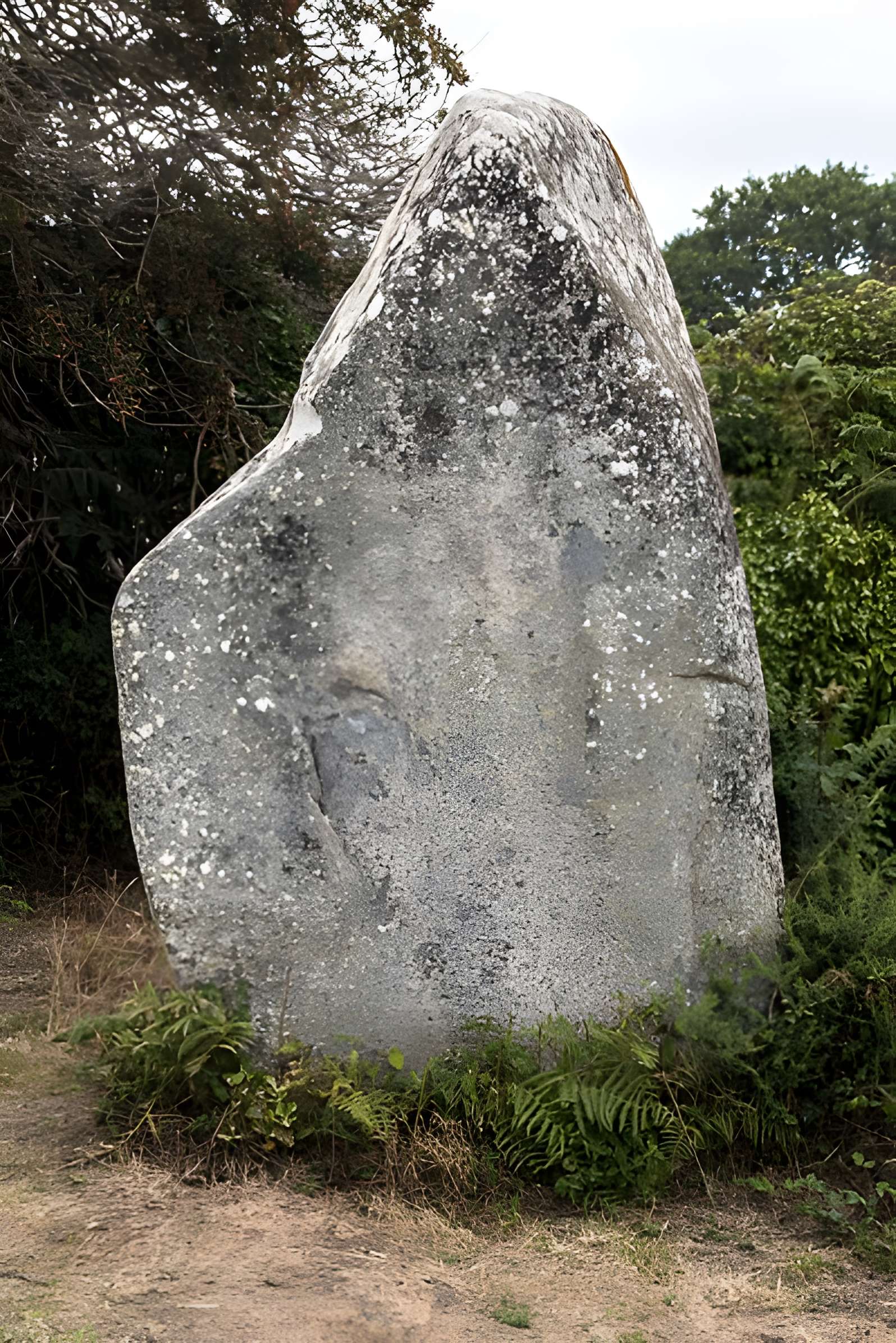 Alignements de Kerzérho à Erdeven