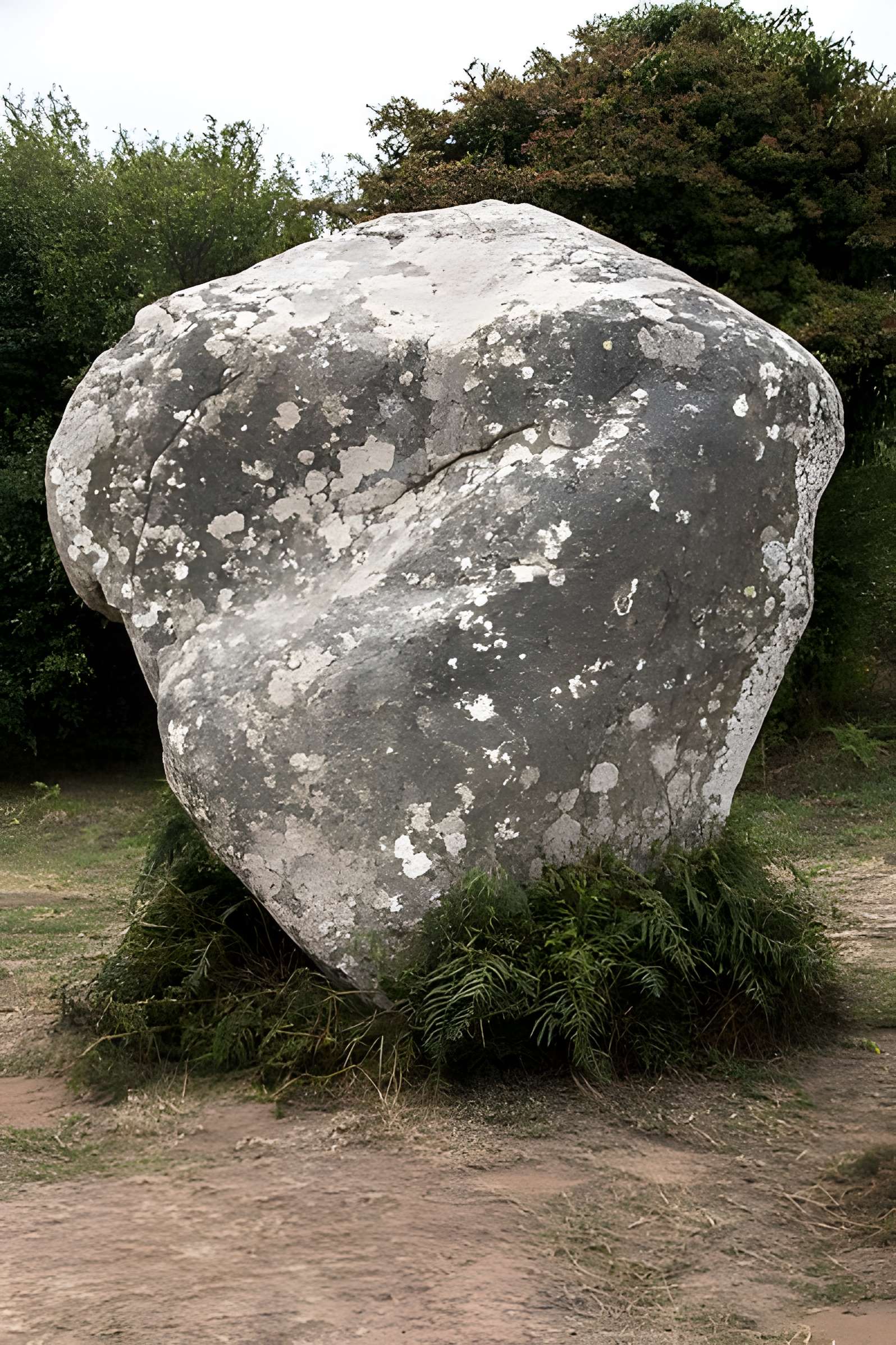 Alignements de Kerzérho à Erdeven