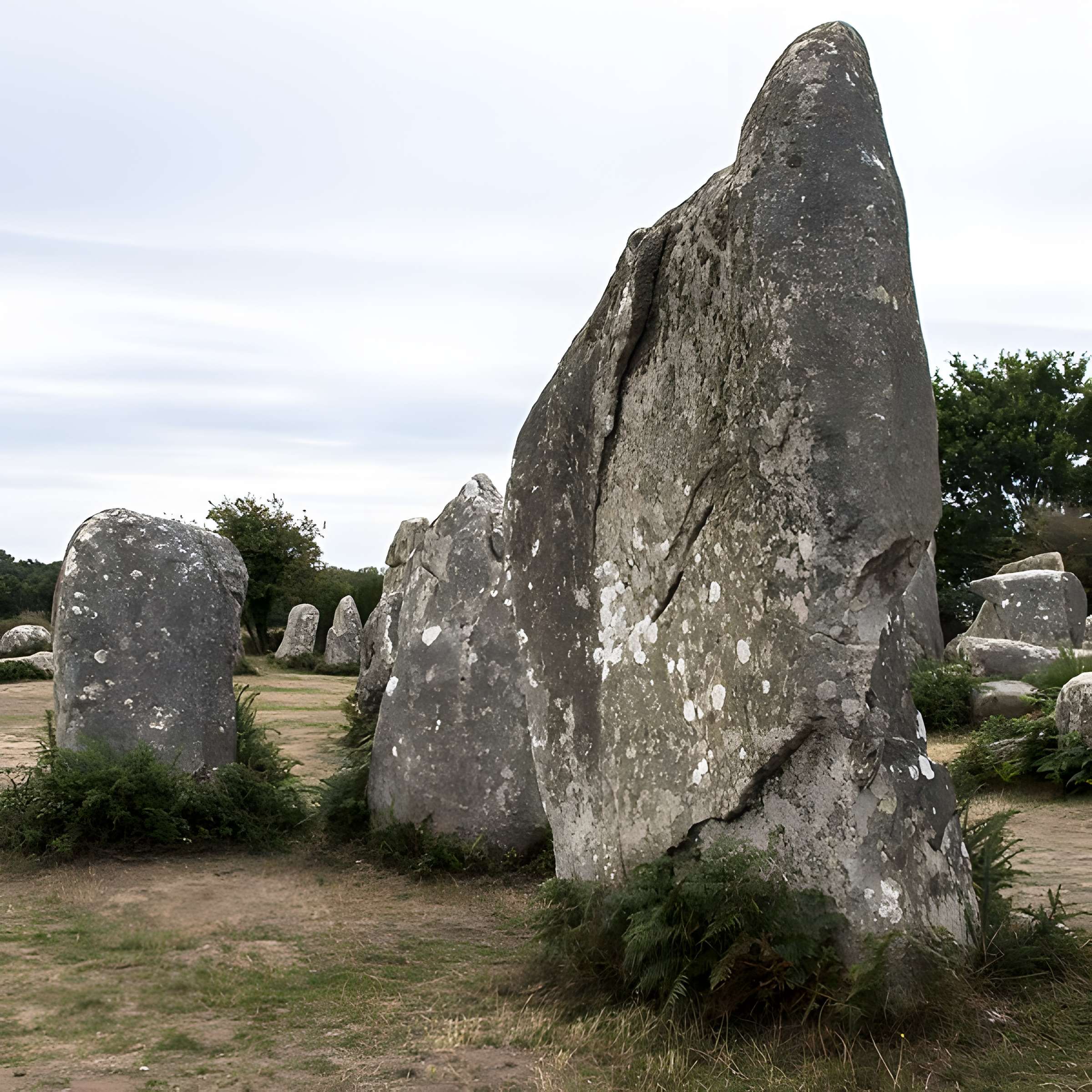 Alignements de Kerzérho à Erdeven