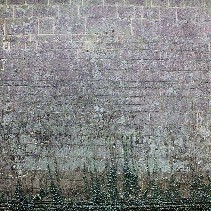 Photo de Chapelle Notre-Dame du Burgo à Grand-Champ