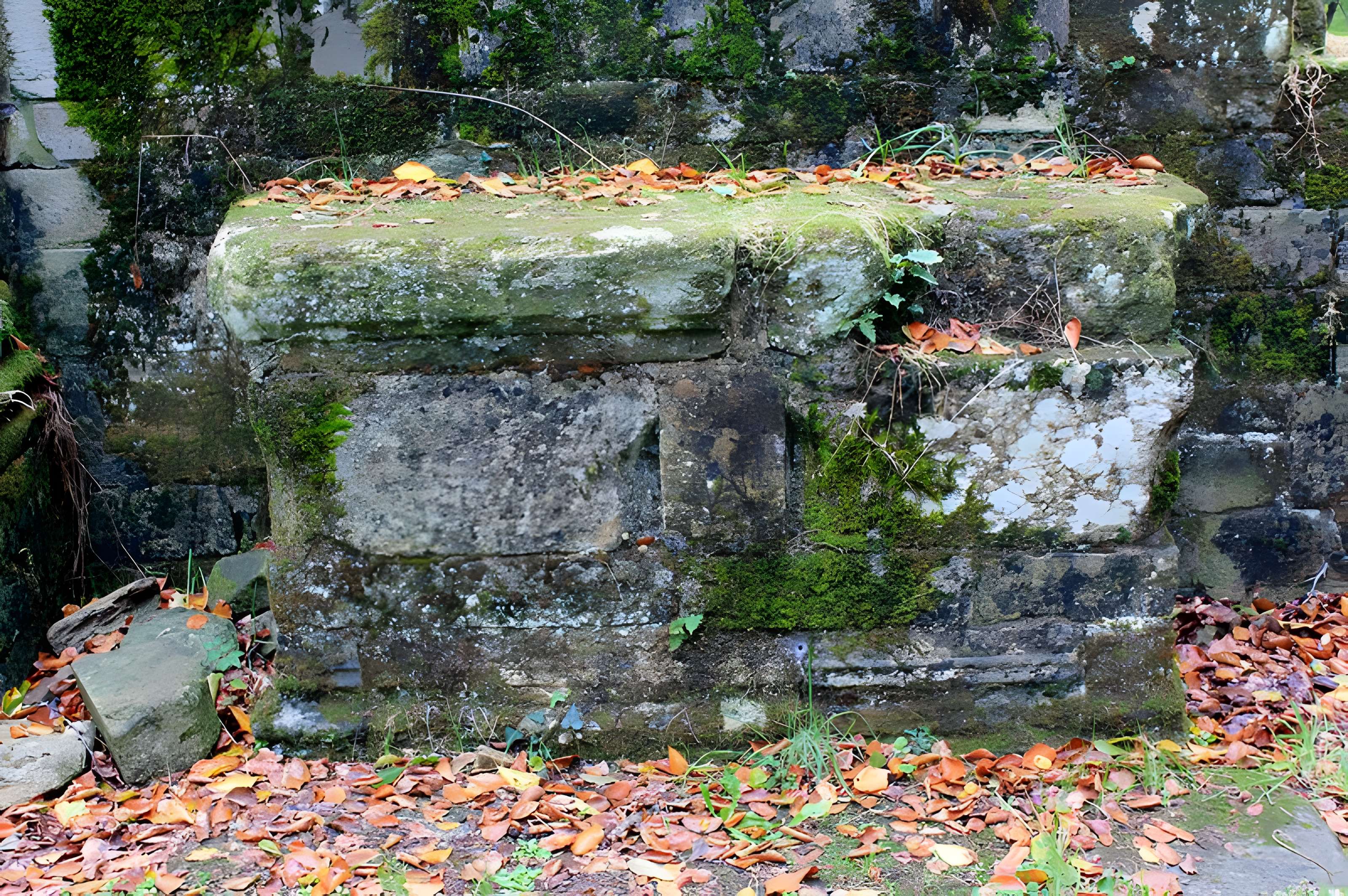 Chapelle Notre-Dame du Burgo à Grand-Champ